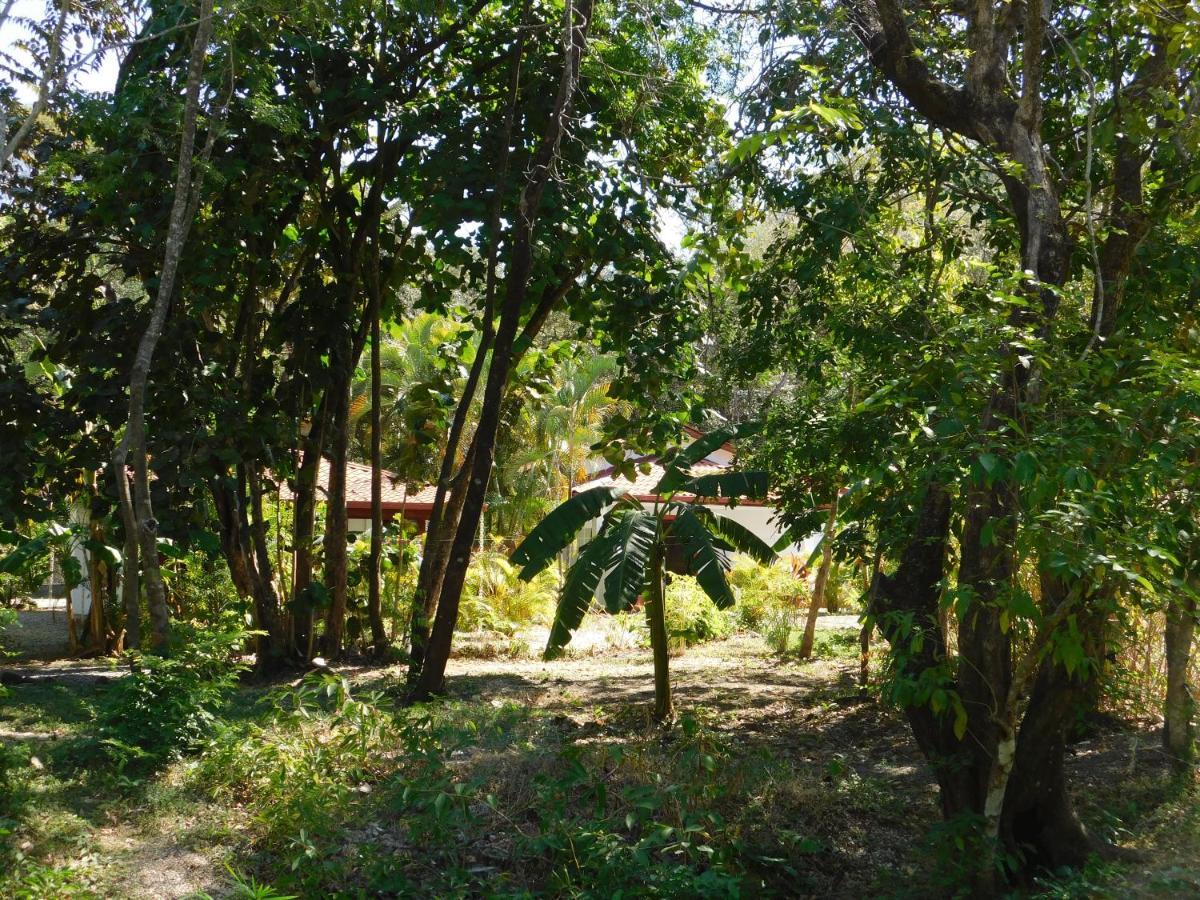Villasjungle 1 Сasa de vacaciones