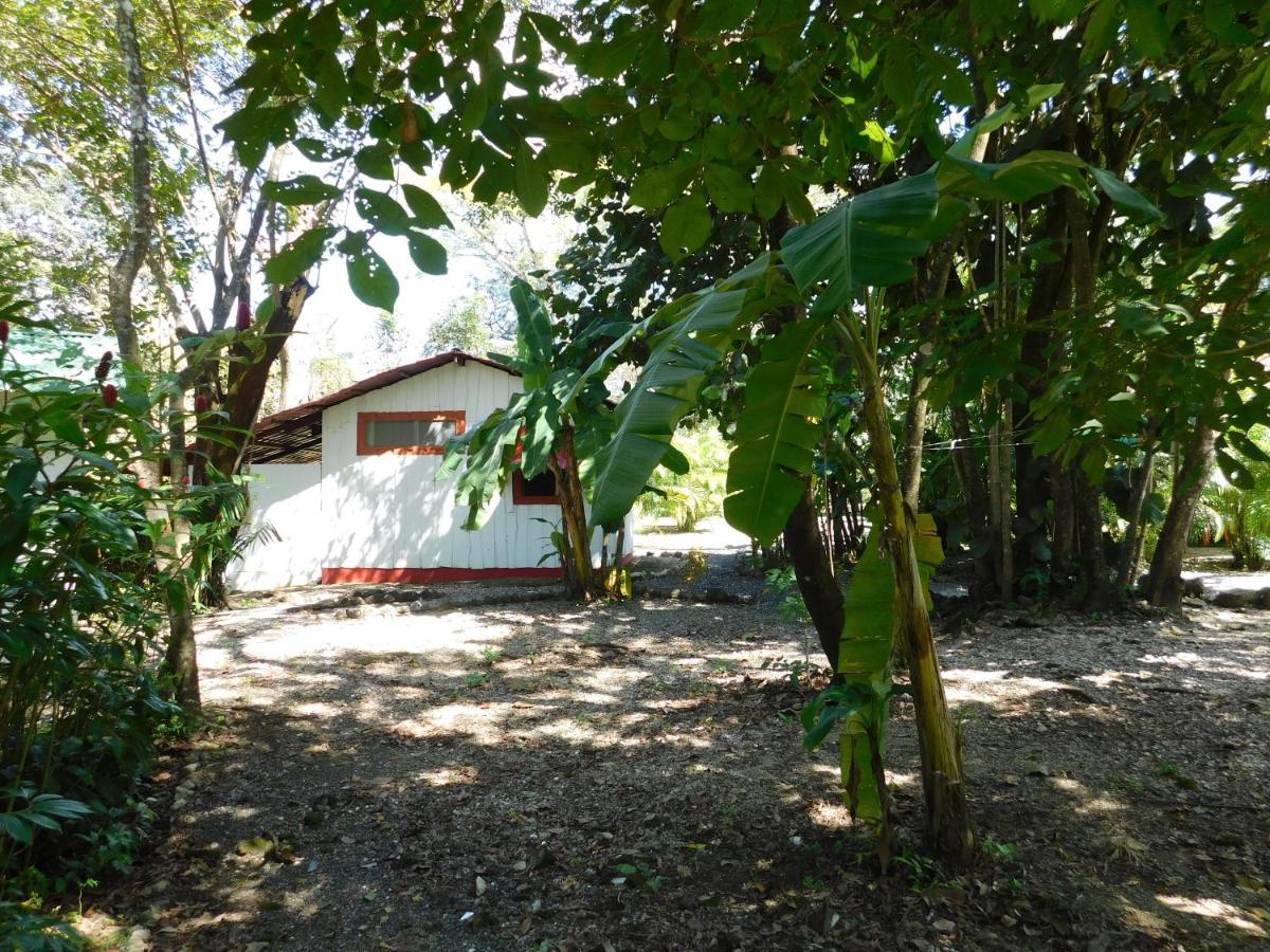 Сasa de vacaciones Villasjungle 1 *